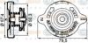 BEHR HELLA SERVICE 8MY 376 742-211 Cap, radiator